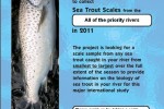 Valuable prizes for anglers who send scales samples from sea trout caught on the priority rivers.
