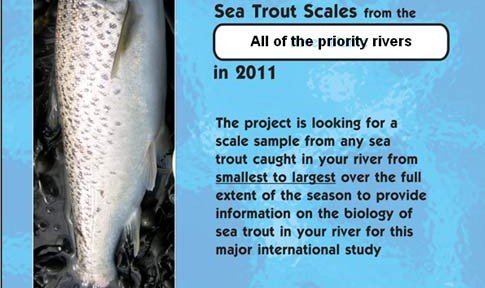 Valuable prizes for sea trout anglers in 2011