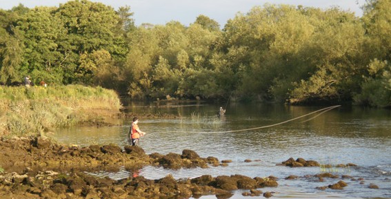 Special sea trout angling competition for Celtic Sea Trout Project held by Rossin & Slane Angling Club