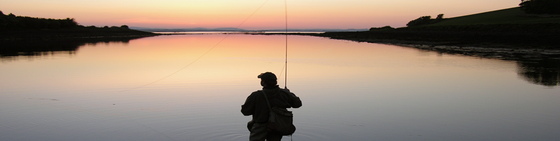 T Jackson, Strangford, May 08